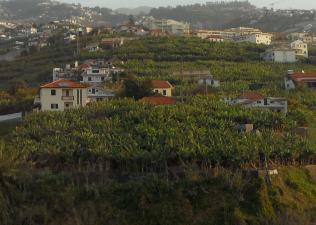 Funchal, Madeira