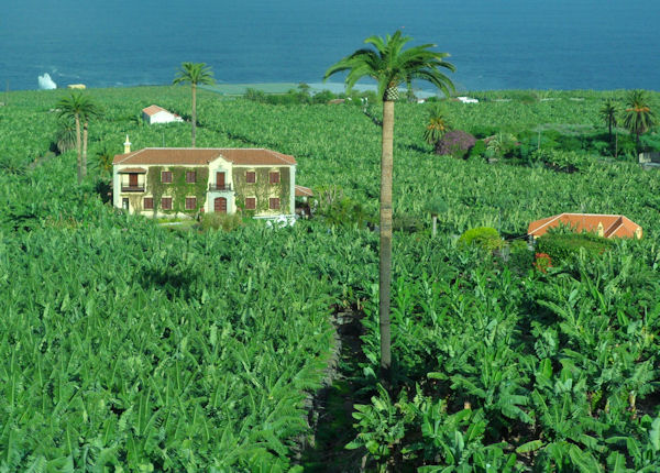 Tenerife