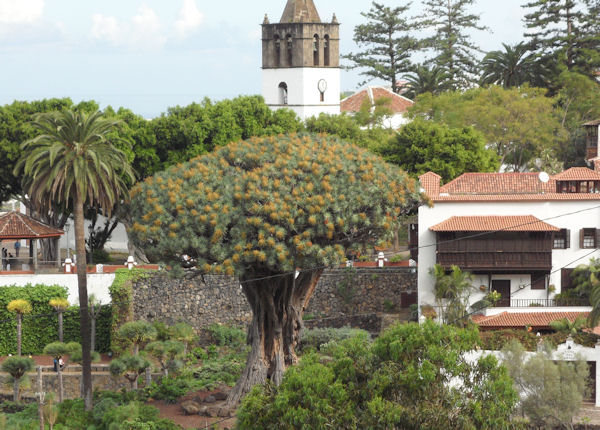 Tenerife